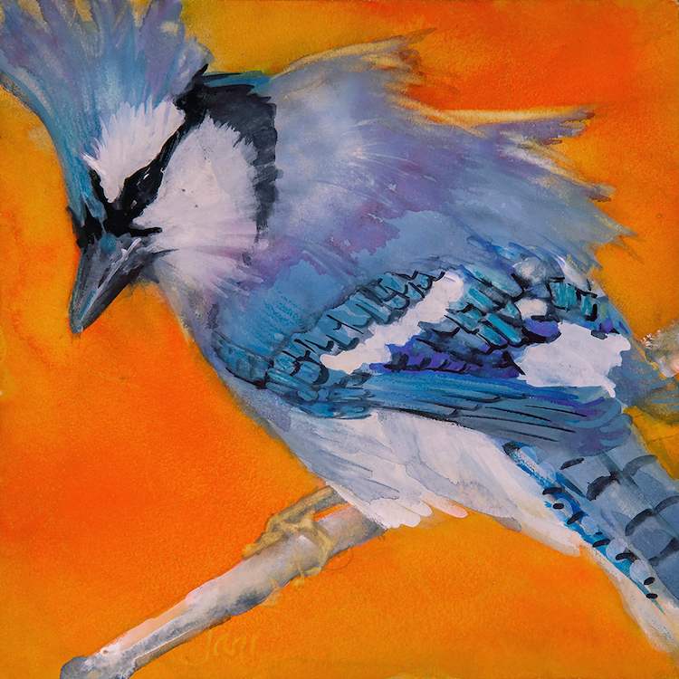 WEB Blue Jay by Jani Freeman $250