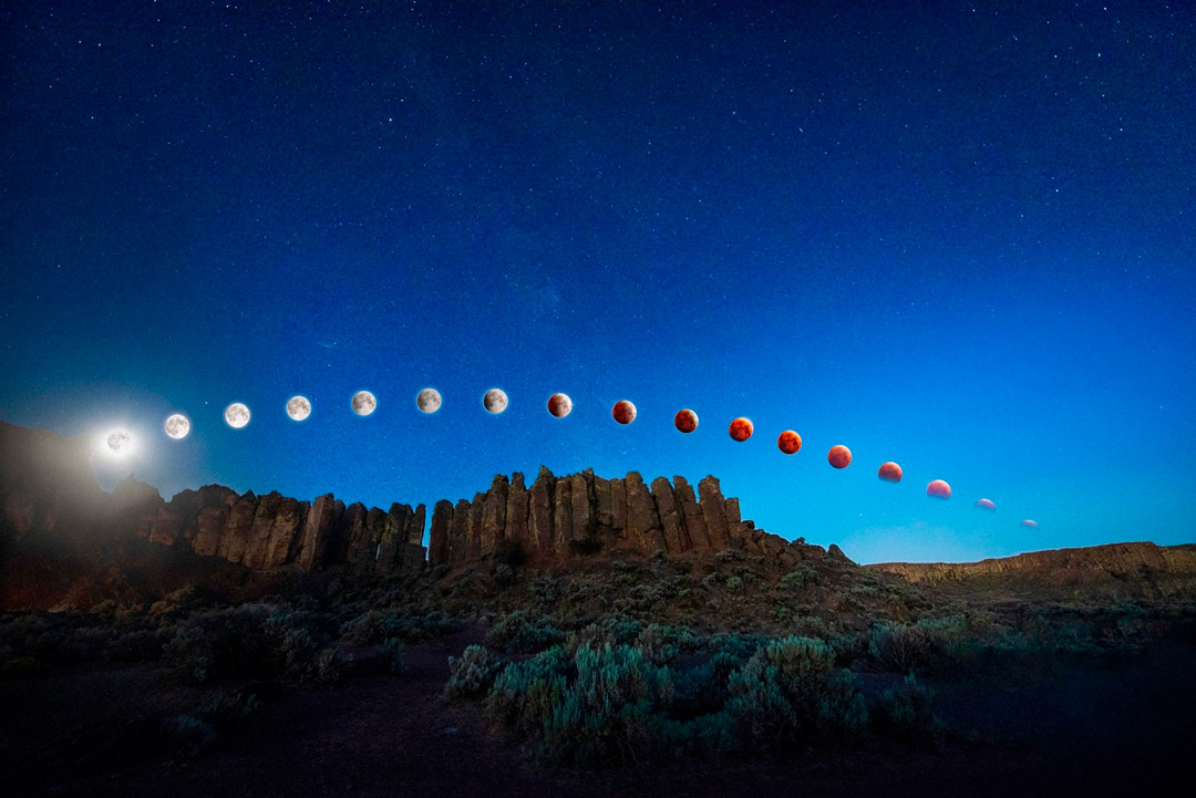 Lunar Eclipse Feathers by Kuria Jorissen, Photography