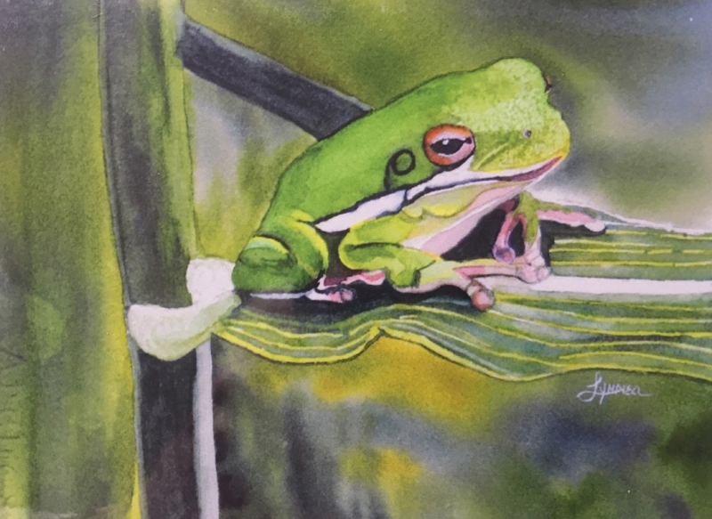 Little Green Frog by Lynnea Mattson, Watercolor