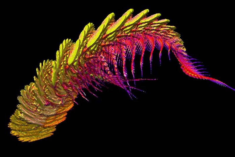 Iridescent Dragon by Anne Prather, Digital Art