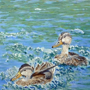 Duck-Wash-Acrylic-by-Susan-Swapp-300.jpg-nggid042756-ngg0dyn-800x600-00f0w010c010r110f110r010t010