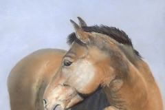 thumbs_Looking-Back-Soft-Pastel-by-Susan-Swapp-700