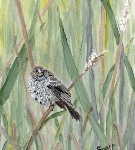 Redwing-Baby-by-Susan-Swapp-Acrylic-350.jpg-nggid042738-ngg0dyn-0x360-00f0w010c010r110f110r010t010