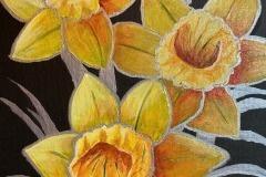 thumbs_Flowers-Lonnie-Daffodils