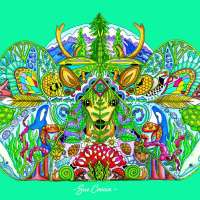 CascadiaPOSTCARDFRONT_copy_2905x2089