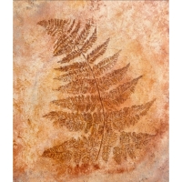 Leah-R-Welch-Fern