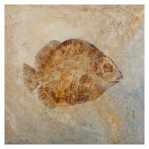 Leah-R-Welch-Flat-Fish-