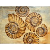 Leah-R-Welch-Flock-of-Ammonite