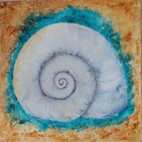 Salish-Sea-Moon-Snail_-Leah-Rene-Welch