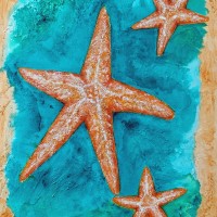 Salish-Sea-Stars_-Leah-Rene-Welch