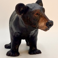 Black-bear-2