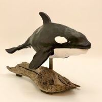 Orca-pic-2