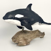 Orca-pic