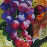 Gift-of-the-Sun-by-Mary-Anderson-watercolor300