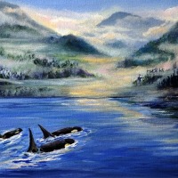 JR-Hawse_Orcas-at-Misty-Fjords_395