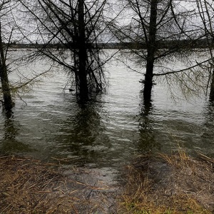 Flooded-River-by-Sam-Spencer