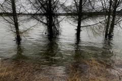 thumbs_Flooded-River-by-Sam-Spencer