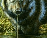 thumbs_Rebecca_Latham-456839.1762429