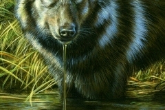 thumbs_Rebecca_Latham-456839.1762429