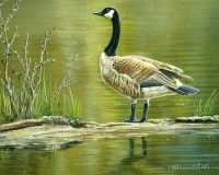 thumbs_Rebecca_Latham-456839.1762430