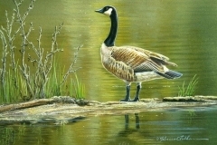 thumbs_Rebecca_Latham-456839.1762430