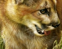 thumbs_Rebecca_Latham-456839.1762431