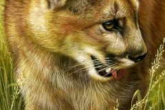 thumbs_Rebecca_Latham-456839.1762431