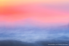 thumbs_Pink-Sea-by-Silena-Wei-Chen