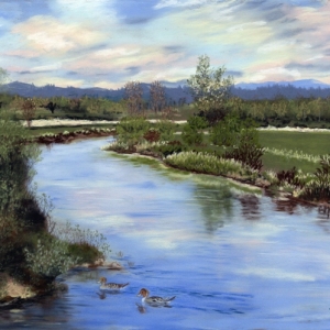 Waterway-with-Pin-Tails_Soft-Pastel-by-Susan-Swapp-800