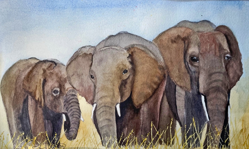 Three Amigos by Lynnea Mattson, Watercolor