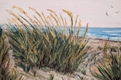 thumbs_Williams-Theresa_Beach-Grass