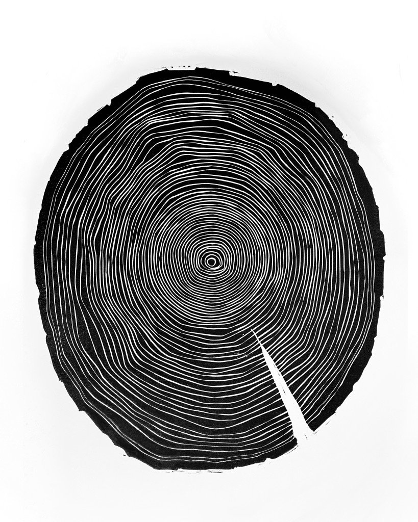 Tree Rings by Hannah Mason, Linocut Print