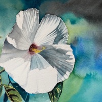 Brown-Tatayana-2