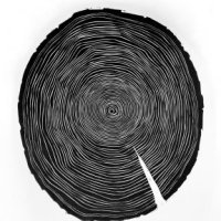 Hannah-Mason-Tree-Rings.jpg-nggid042963-ngg0dyn-0x360-00f0w010c010r110f110r010t010