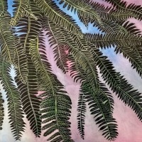 Mason-Hannah-Deer-Ferns.jpg-nggid043184-ngg0dyn-0x360-00f0w010c010r110f110r010t010