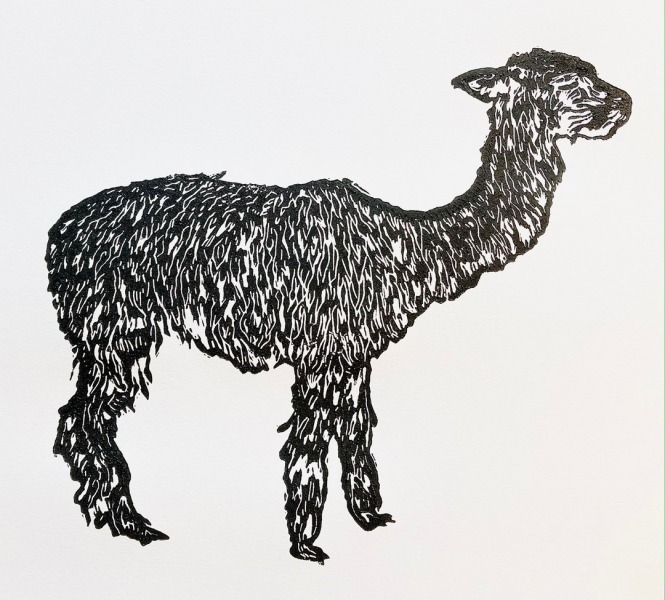 Llama by Hannah Mason, Linocut Print