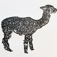 Hannah-Mason-Llama.jpg-nggid043193-ngg0dyn-800x600-00f0w010c010r110f110r010t010