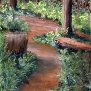 Swapp-Susan_Through-the-Forest.jpg-nggid043206-ngg0dyn-800x600-00f0w010c010r110f110r010t010