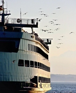 Photo-Jul-21-2023-9-08-08-AM.jpg-nggid043367-ngg0dyn-0x360-00f0w010c010r110f110r010t010