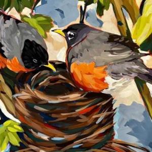 birds.jpg-nggid043366-ngg0dyn-0x360-00f0w010c010r110f110r010t010