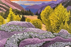 Groff_Ben_Boulder-with-Phlox-at-Marmot-Pass-Dawn