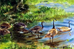 Shiau_Enmey_Wild-Geese-at-Washington-Park-Arboretum