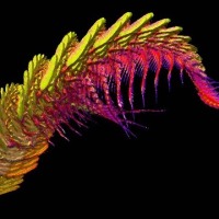 Prather_Anne_Iridescent_dragon.jpg-nggid043843-ngg0dyn-0x360-00f0w010c010r110f110r010t010