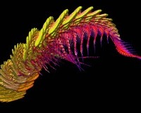 thumbs_Prather_Anne_Iridescent_dragon