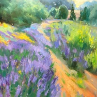 Pacific-Lavender-Emiliya-Lane