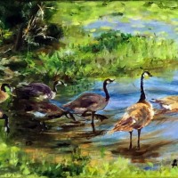 Shiau_Enmey_Wild-Geese-at-Washington-Park-Arboretum