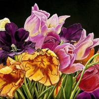 Spring-Flowers-Rick-Tuthill