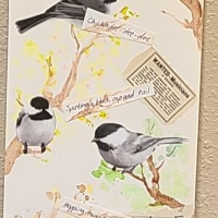 2025TannerBirdsong
