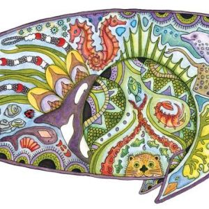 Gray-Whale_-Coccia