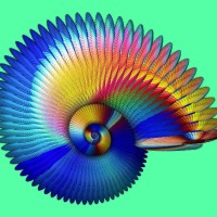 Prather_Anne_Living_Rainbow_Spiral